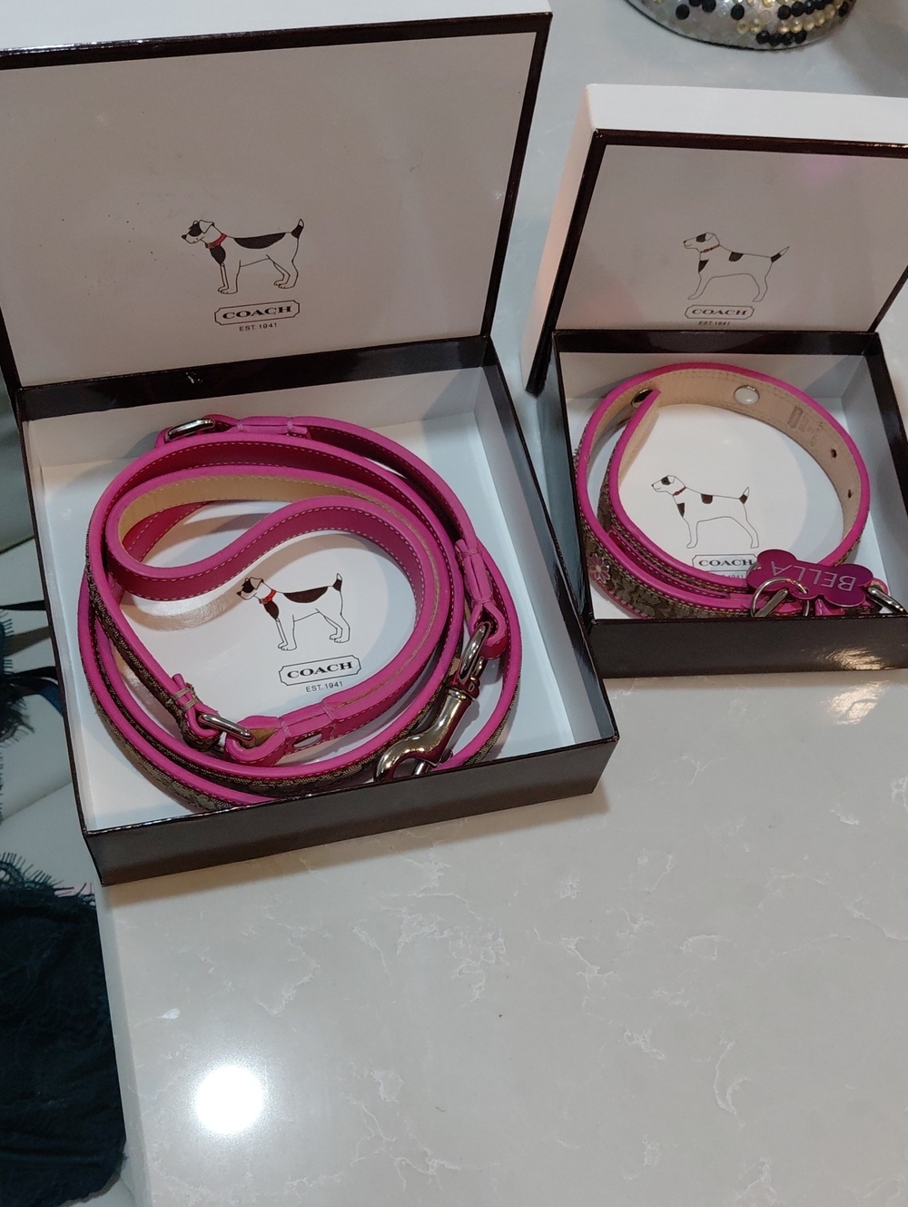 Coach Pink Leather Dog Leash and Collar Set with Signature Trim